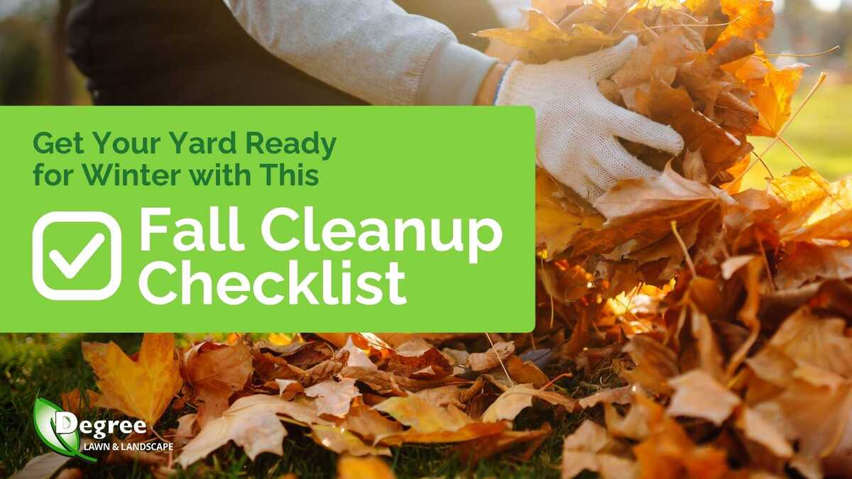 Get Your Yard Ready for Winter with This Fall Cleanup Checklist